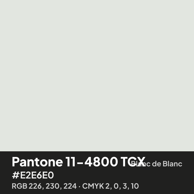 Pantone 11-4800 TCX blanc de blanc white swatch with HEX #E2E6E0, RGB 226 230 224 and CMYK 2 0 3 10 values